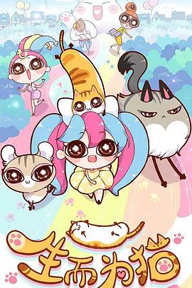 网站内容优化工作内容